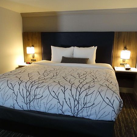 Best Western Premier Denver East Chambre photo
