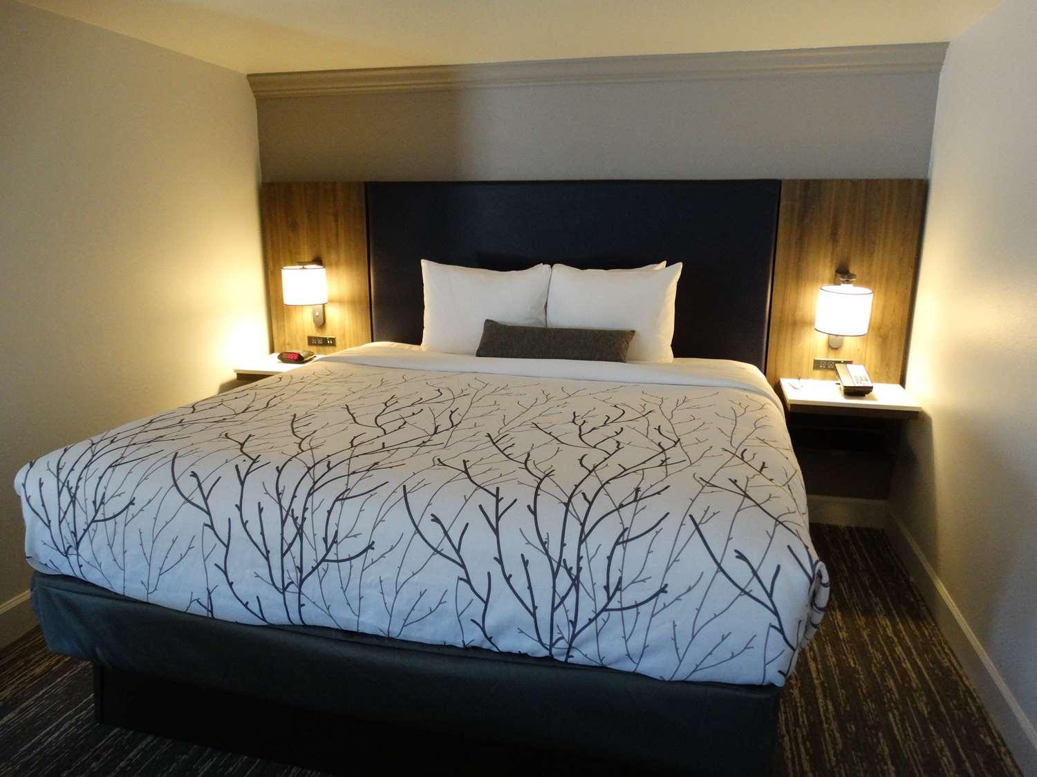 Best Western Premier Denver East Chambre photo